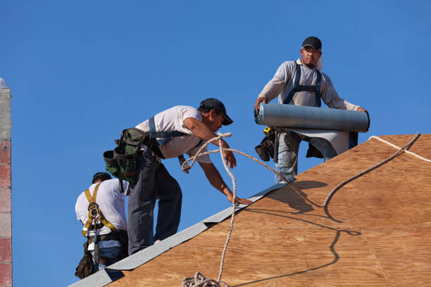 Best Roof Leak Repair  in Spencer, WV